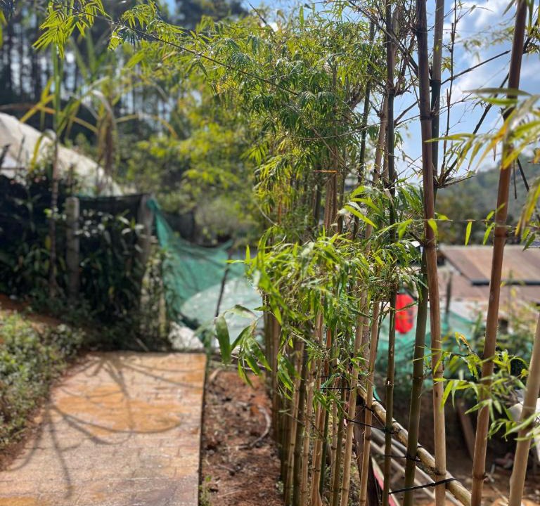 Mok Cham Pae House | บ้านซินอัน