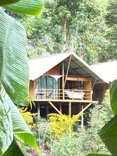 Thong Pha Phum House | มาค่ะ ฟาร์มสเตย์ ห้วยเขย่ง สวนคุณตา สวนทุเรียนทองผาภูมิ