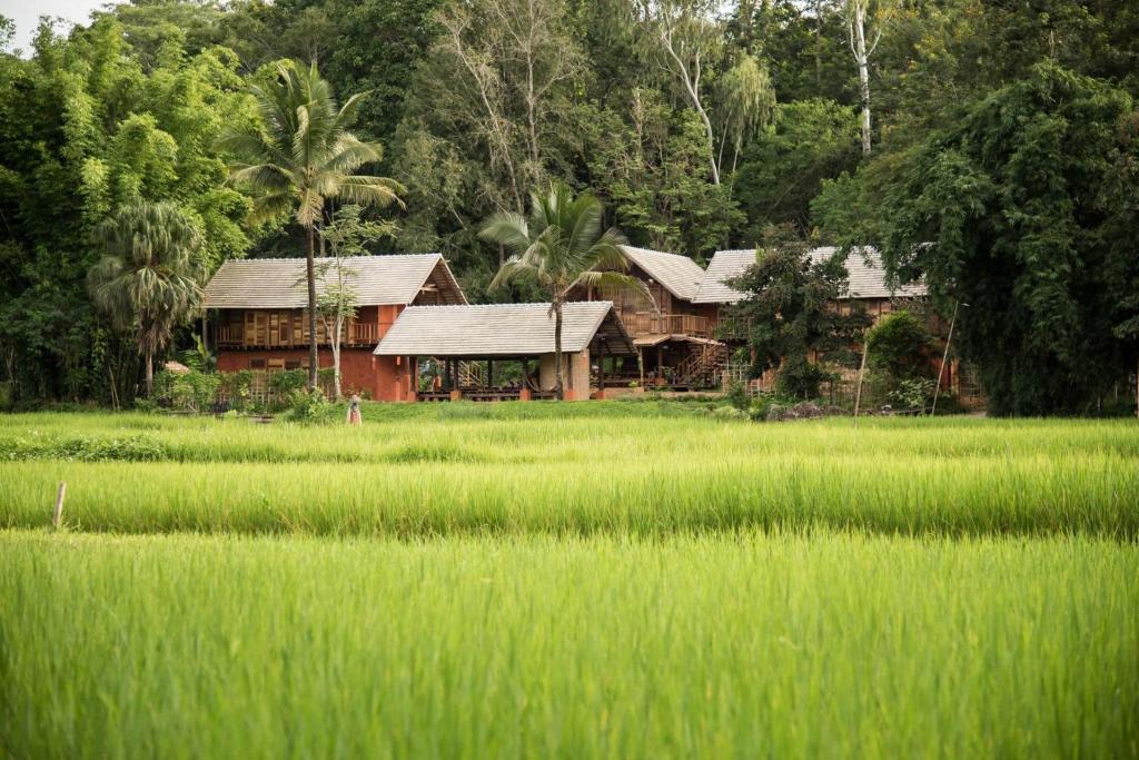 Pa Sang House | Ahsa Farm Stay