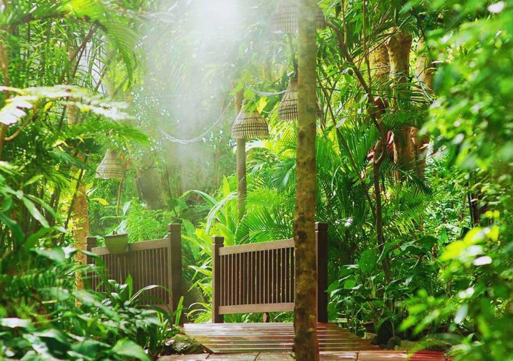 Pratumnak Hill Resort | Birds and Bees Resort