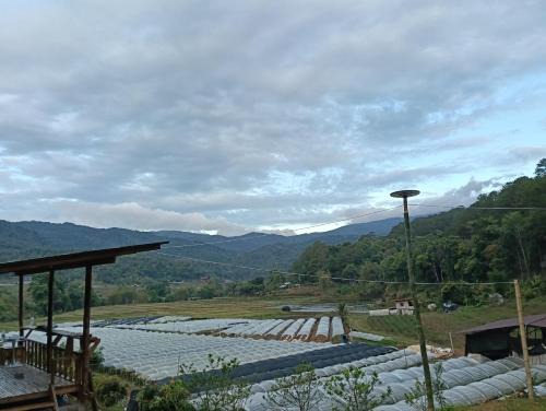 Ban Luang House | Chanya homestay