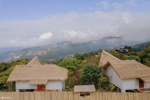 Chiang Rai Province Resort | Doi Chang Triple A Coffee