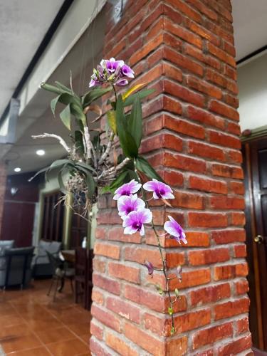 Vang Vieng House | Happy Hotel