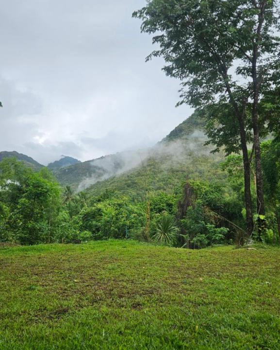 Tha Kradan Other | Jungle Private Camp