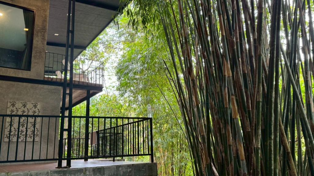 Lam Kaen Resort | Khaolak Nature House