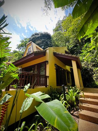 Patong House | Patong Beach森林屋111