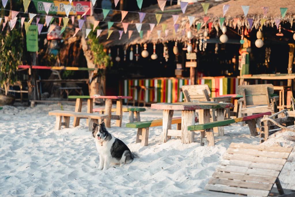 Ranong House | Rasta Baby Bar & Bungalows - Suitable for young travelers