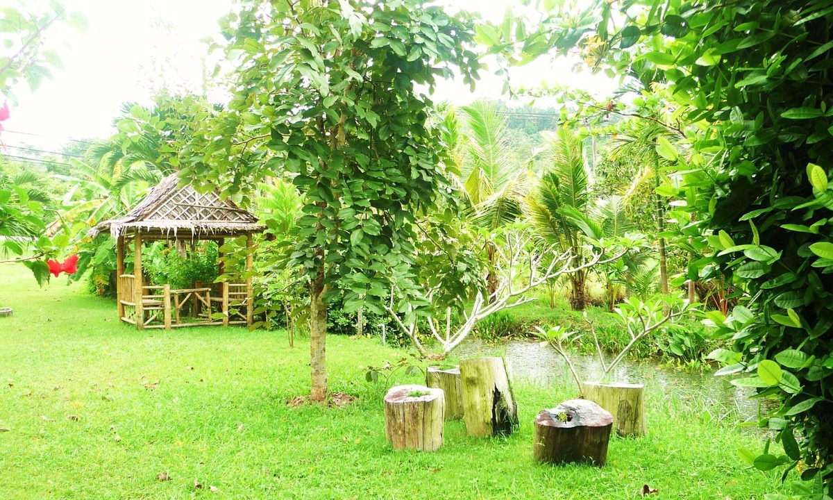 Chez | Sa Khu
