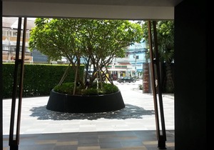 #324 Kao-Ta-Kiab Condo 1BR/garden view
