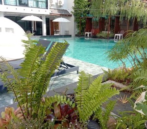 Rent Chiangmai 