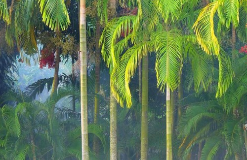 Thep Kasattri Resort | 41 m² Resort ∙ 2 guests