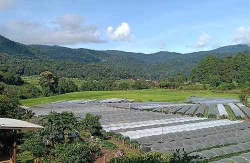 Ban Luang House | จรรยา โฮมสเตย์ 3แม่กลางหลวง