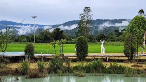 Nakhon Nayok Hotel | ภูอิงนาคาเฟ่&รีสอร์ท