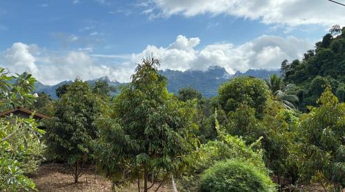 Thong Pha Phum House | มาค่ะ ฟาร์มสเตย์ ห้วยเขย่ง สวนคุณตา สวนทุเรียนทองผาภูมิ