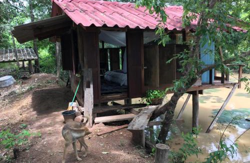 Chiang Kham House | สวนบ้านนอก SuanBaanNoak