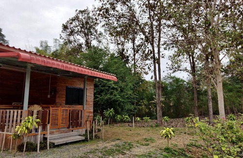 Mae On House | สายฝนการ์เด้น