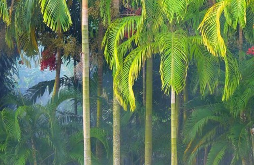 Thep Kasattri Resort | 41 m² Resort ∙ 2 guests