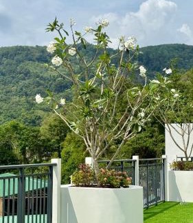 Chalong Apartment | Apartment near the sea Kamala beach 601