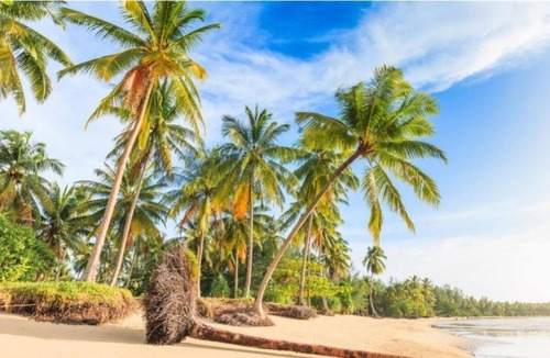 Khao Lak Resort | Apsara Deluxe - beautifully styled| 47 m²/506 ft² | DU#18