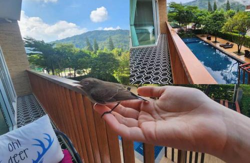 Mu Si Apartment | Bann Khao Yai Corner 50sqm - King Bed - Fiber Optic Internet
