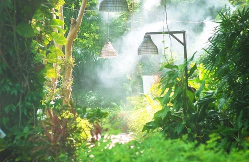Pratumnak Hill Resort | Birds and Bees Resort