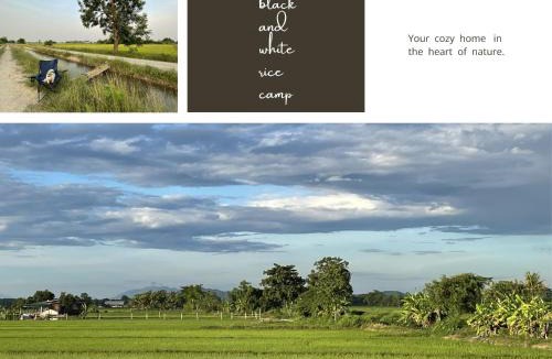 Chiang Rai House | black & white rice camp แบล็กแอนด์ไวต์ไรซ์แคมป์
