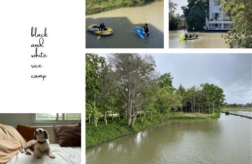 Chiang Rai House | black & white rice camp แบล็กแอนด์ไวต์ไรซ์แคมป์