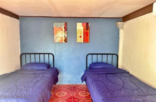Bokeo Province Hostel | Bokeo Social and Eatery