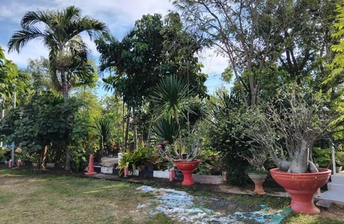Buriram House | Buriram home stay 12 Tonon2b