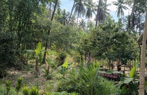 Ko Kood Hotel | Chom Suan Farmstay
