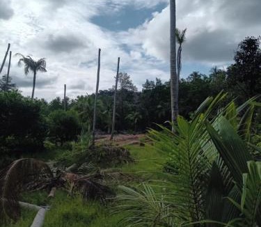 Ko Kood Hotel | Chom Suan Farmstay