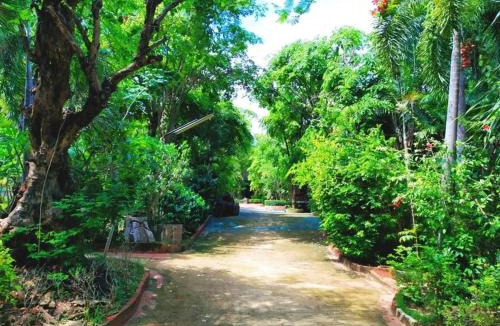 Den Chai Resort | Denchai City Resort เด่นชัยซิตี้ รีสอร์ท