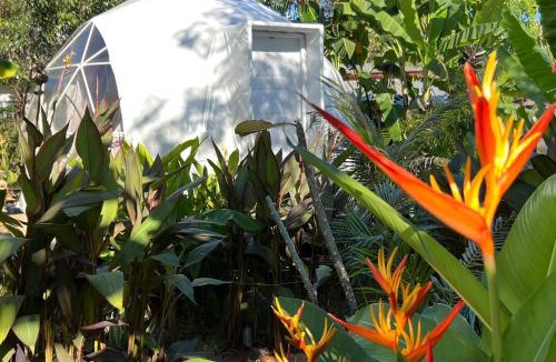 Thakhek Other | Domea Thakhek - Urban Glamping