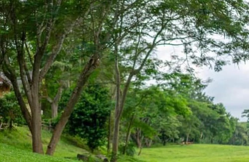 Don Sak House | Donsak Orchid Resort