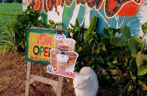 Phrao Hotel | Hamenameng