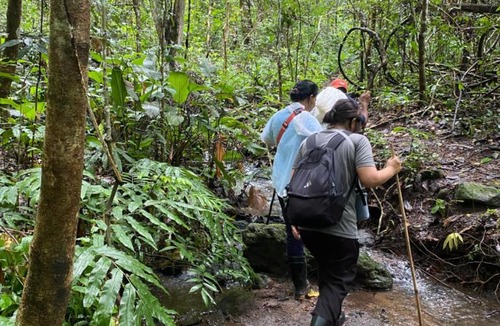 Mae Wang House | Hill Tribes Eco Lodges and Elephant Sanctuary