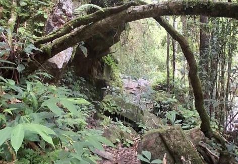 Mae Wang House | Hill Tribes Eco Lodges and Elephant Sanctuary