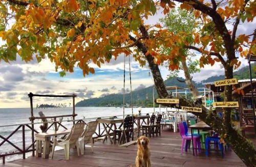 Bai Lan House | Kohchang 7 seaview bungalow