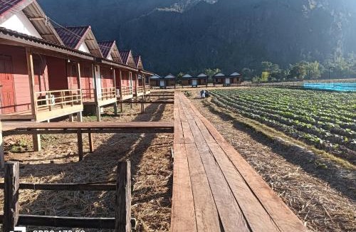 Kong Lor Apartment | Konglor Khamchalern Guesthouse and Restaurant