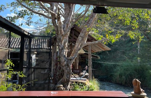 Mae Salong Nai Resort | Lap nai doi homestay and space
