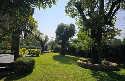 San Sai House | Live Specialty House