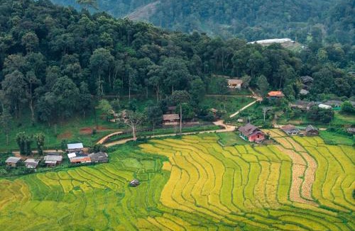 Pa Pae Resort | Lochi Chiangmai โลชิ เชียงใหม่