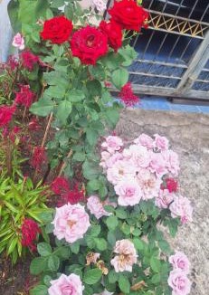 Betong House | Minny house Home stay
