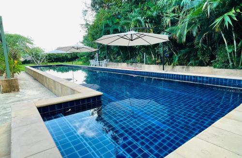 Doi Hang House | Mountain View Pool Apartment