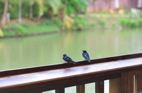 Ban Thalane Villa | Nittaya Andaman Seafront Residence