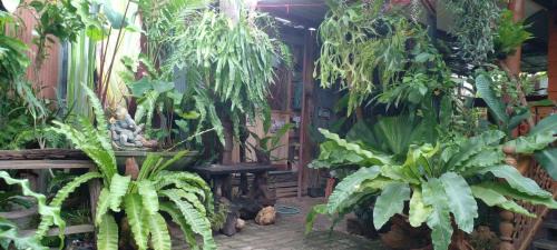 San Pu Loei Other | ouychai resort home stay