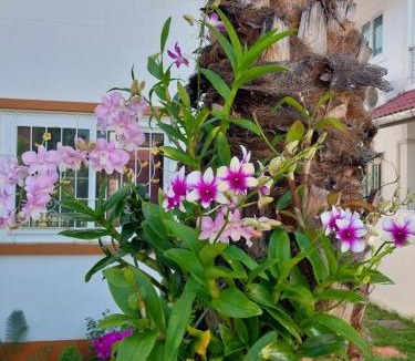Chiang Mai Province House | P and A Thai Lanna Resort