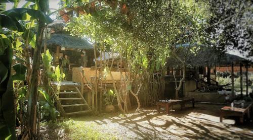 Pai Hostel | Pai River Jam Hostel & Campground