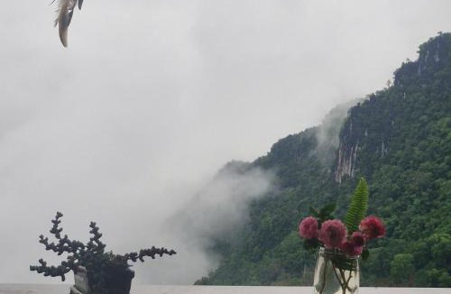 Mae Sai House | Phahee valley ผาฮี้วัลเล่ย์