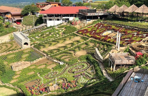 Wiang Tai Resort | Rai Cha Chiw wie